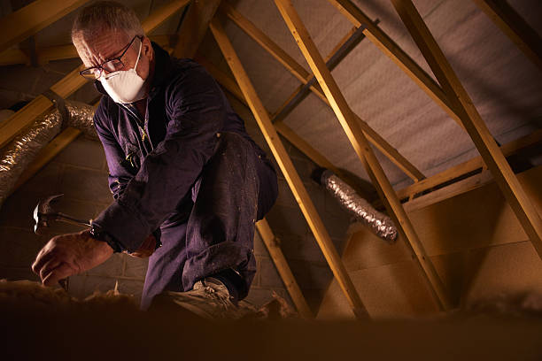Best Commercial Insulation in Grenada, MS